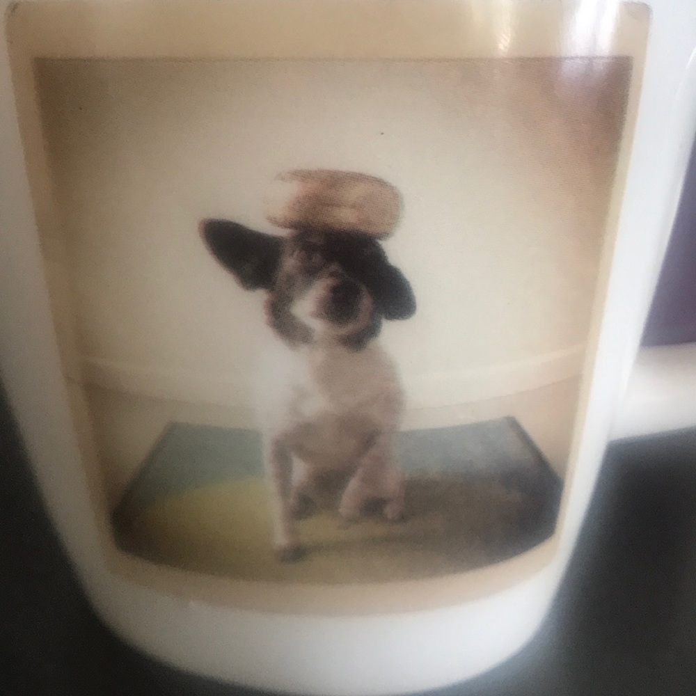 Meet your Posher, Alba